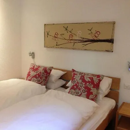 Saas-fee Sleeps 10 Wifi 公寓 *